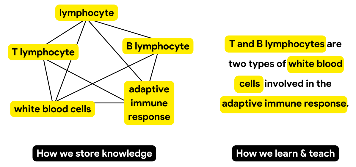 Knowledge is a fractal network, but we learn linearly.